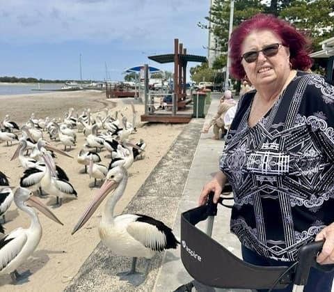 Participants watching pelicans on a day out